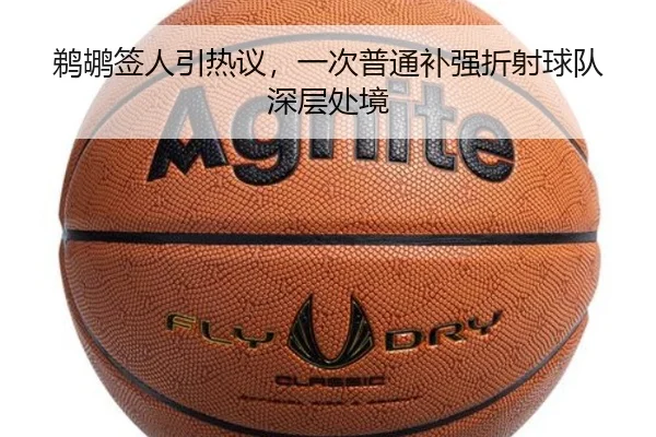 鹈鹕签人引热议，一次普通补强折射球队深层处境